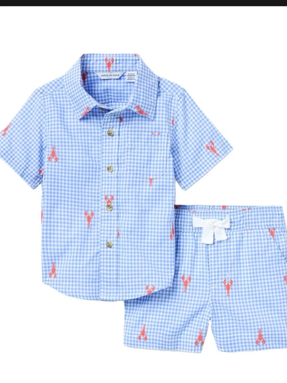 Janie and Jack Light Blue Gingham Shirt with Red Lobster Embroidery